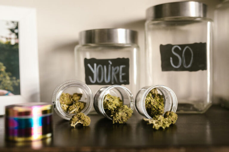 The Sante Fe Dispensary: Which Weed? Finding the Weed Strain for You